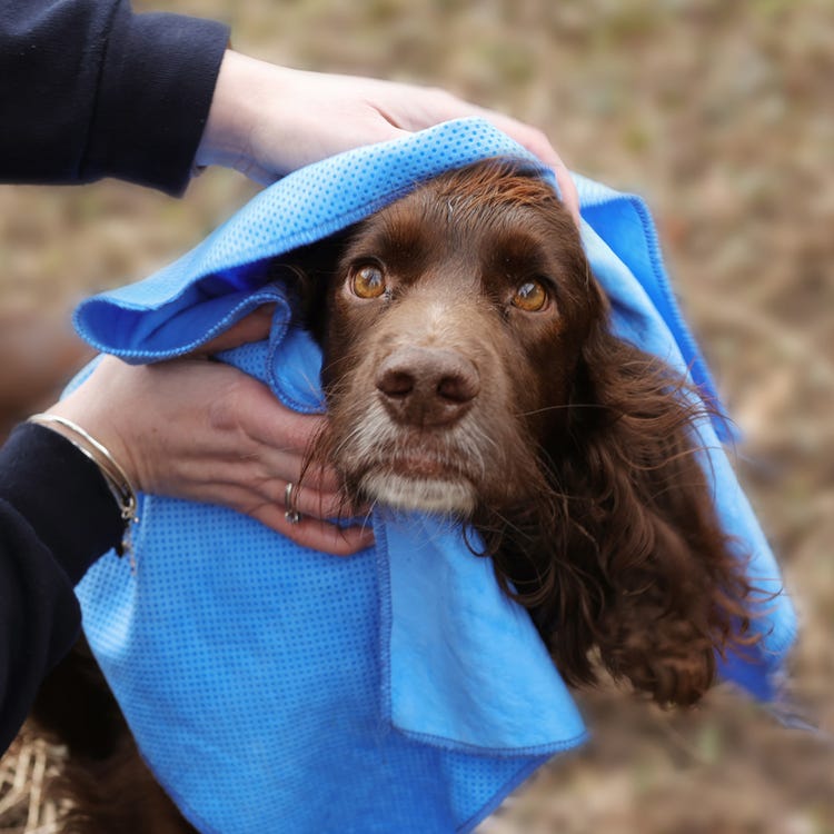Benji &amp; Flo Quick Dry Dog Towel image 3